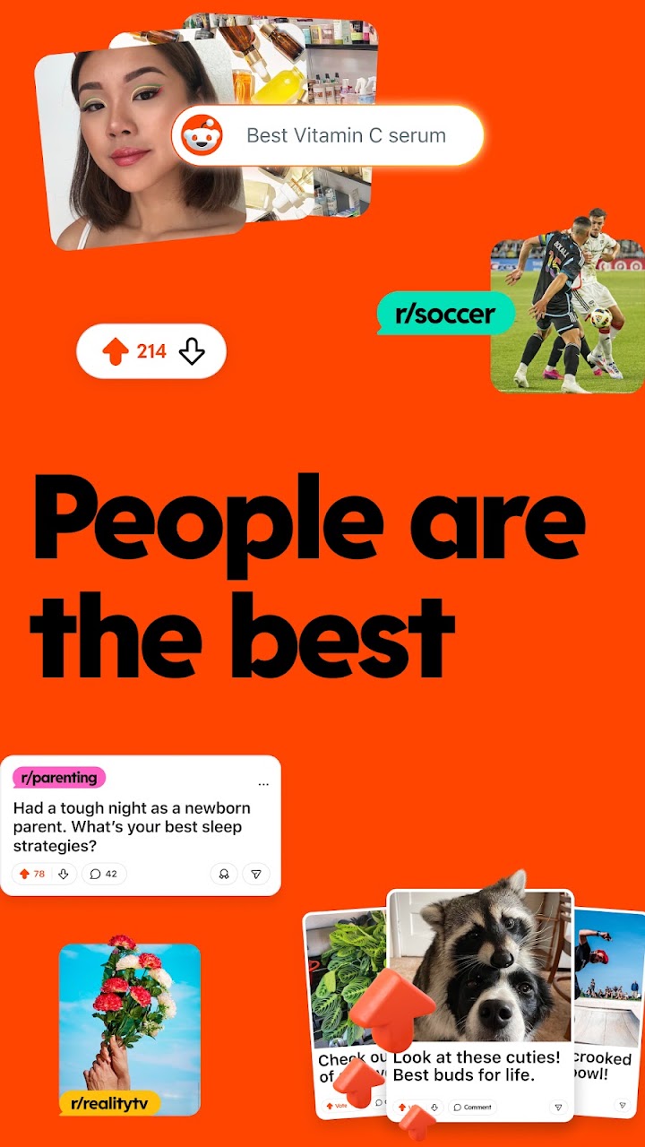 Reddit screenshot