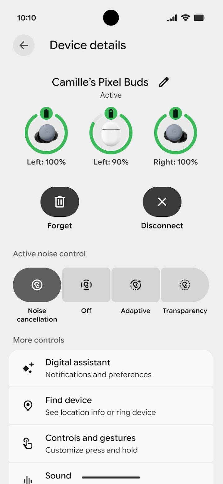 Google Pixel Buds screenshot